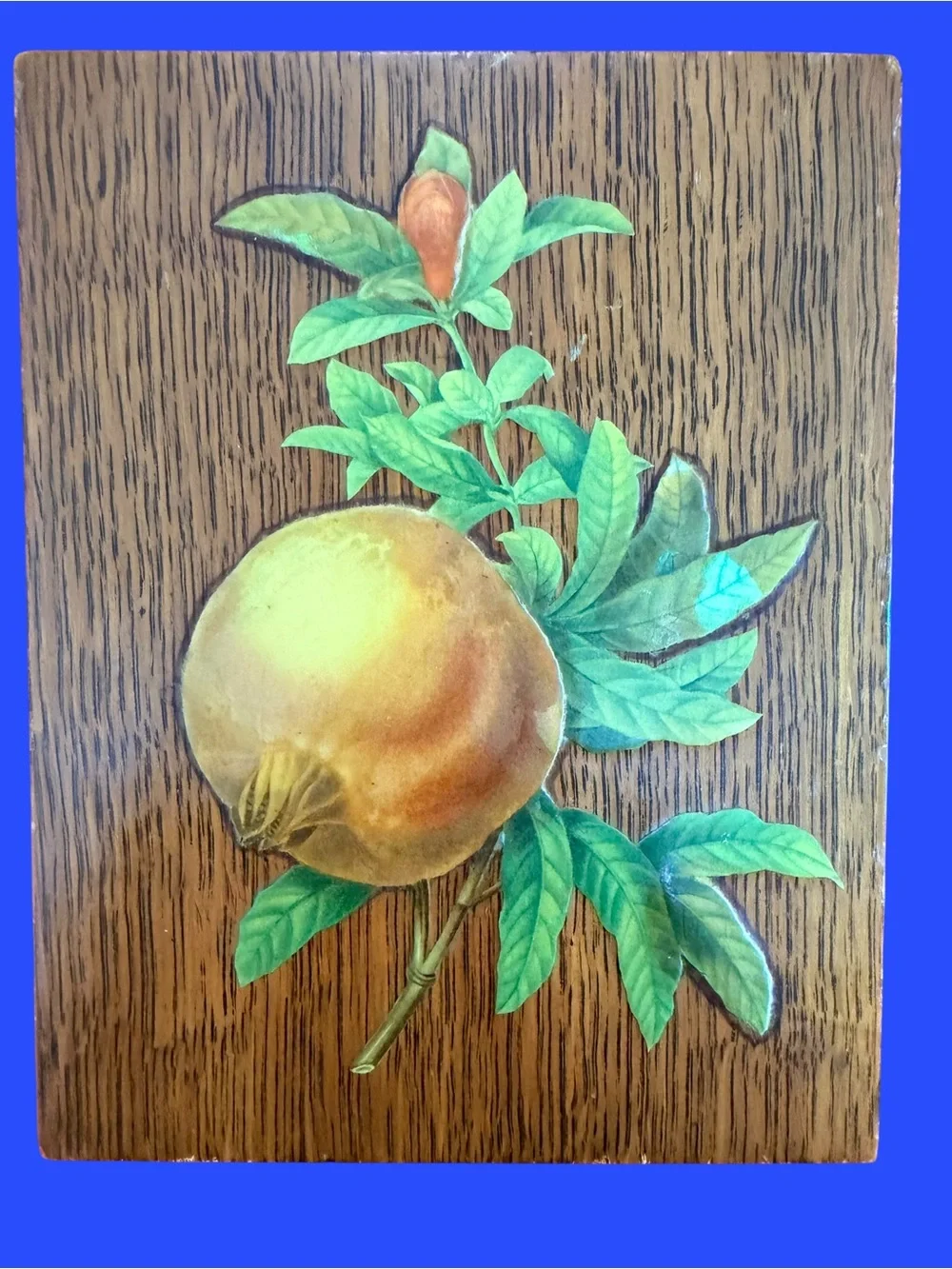 Wood Panel Pomegranate Wall Art - Brown & Green